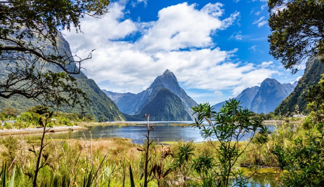 Milford Sound National Park in New Zealand